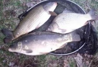  Fishing in the ponds